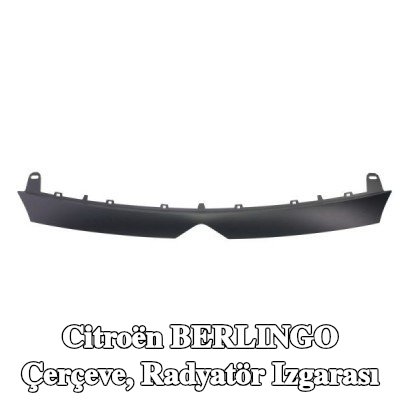 BLIC Çerçeve, radyatör ızgarası — 2012 Citroën Berlingo