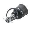 RIDEX Ön aks rotili, 15, 5mm — Honda Element (2)