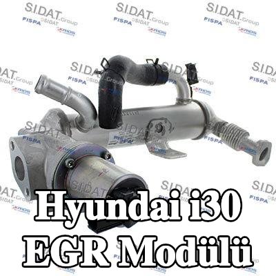 FISPA EGR Modülü — 2008 Hyundai i30