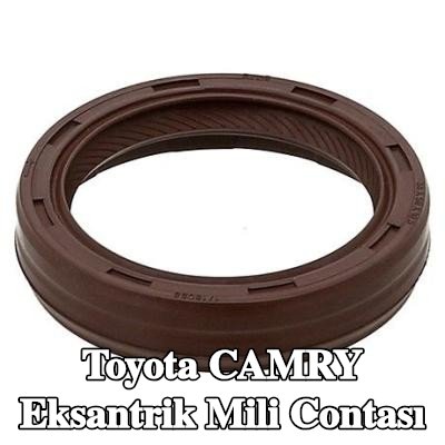 ELRING Eksantrik mili contası — 2000 Toyota Camry