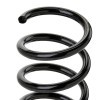 SACHS Helezon yay — 2012 Volkswagen Touareg (3)