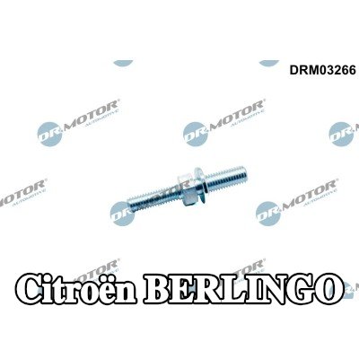 DR.MOTOR AUTOMOTIVE برغي، مضخة المياه — Citroën Berlingo