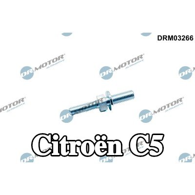 DR.MOTOR AUTOMOTIVE برغي، مضخة المياه — Citroën C5