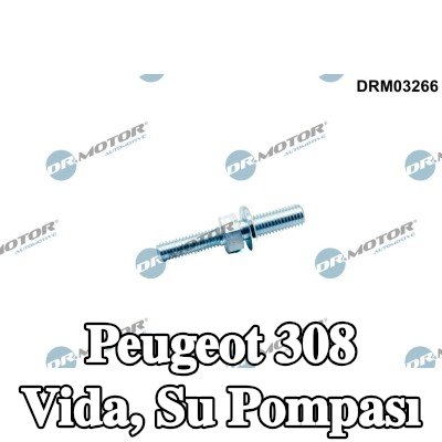 DR.MOTOR AUTOMOTIVE Vida, su pompası — Peugeot 308