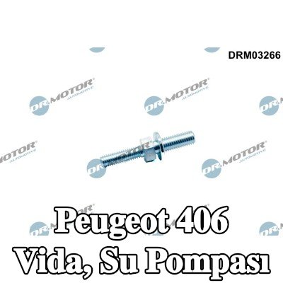 DR.MOTOR AUTOMOTIVE Vida, su pompası — Peugeot 406