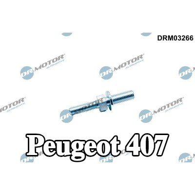 DR.MOTOR AUTOMOTIVE برغي، مضخة المياه — Peugeot 407