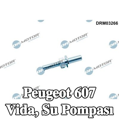 DR.MOTOR AUTOMOTIVE Vida, su pompası — Peugeot 607