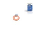 DT Spare Parts Conta halkası, nozul tutucu — 2012 Ford Transit (1)