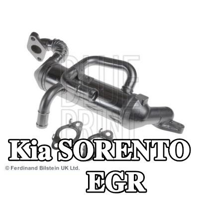 BLUE PRINT مبرد EGR مع حشيات/أختام — 2008 Kia Sorento