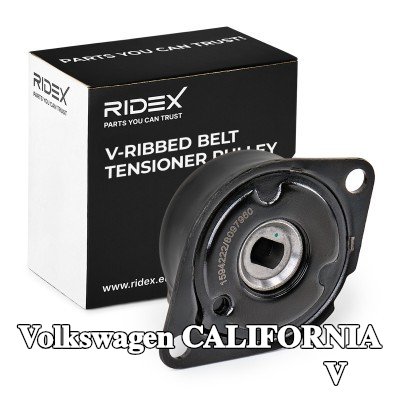 RIDEX ذراع الموتر, حزام مضلع على شكل V بدون ذراع شد, بكرة الشد — 1996 Volkswagen California