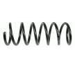 SACHS Helezon yay — 2012 Ford Mondeo (4)