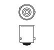 BOSCH Ampul — Renault Wind (8)
