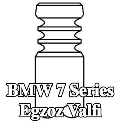 GIEFFE Egzoz valfi, zırhlı valf yuvası, Krom kaplı valf gövdesi, Sertleştirilmiş valf sapı ucu — 1994 BMW 7 Series