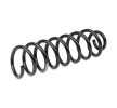 SACHS Helezon yay — 2003 Renault Megane (2)