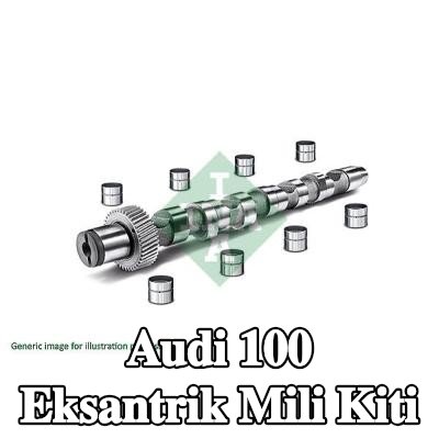 INA Eksantrik mili kiti — Audi 100