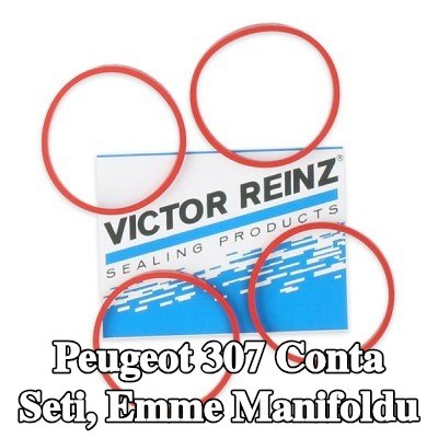 REINZ Conta Seti, emme manifoldu — Peugeot 307