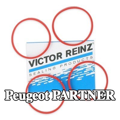 REINZ مجموعة حشيات، مشعب السحب — 2000 Peugeot Partner