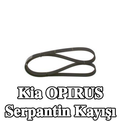BOSCH Serpantin kayışı 2475mm, Number of ribs: 6 — Kia Opirus