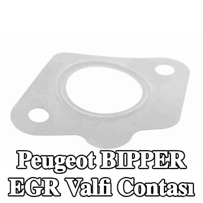 VEMO EGR valfi contası — Peugeot Bipper