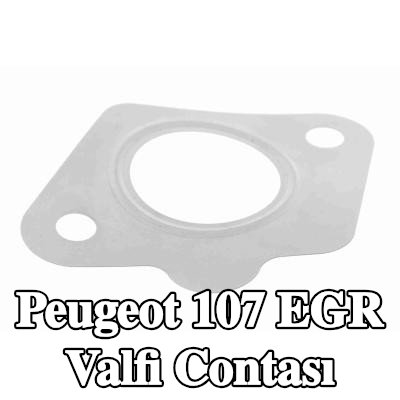 VEMO EGR valfi contası — Peugeot 107