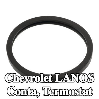 FEBI BILSTEIN Conta, termostat — Chevrolet Lanos