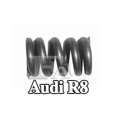 FA1 زنبرك، كاتم الصوت — Audi R8
