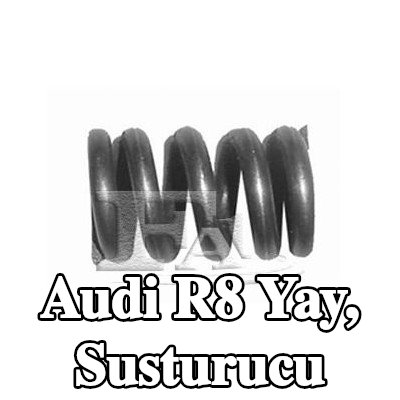 FA1 Yay, susturucu — Audi R8