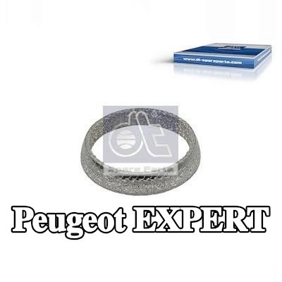 DT Spare Parts مانع تسرب، أنبوب العادم — Peugeot Expert