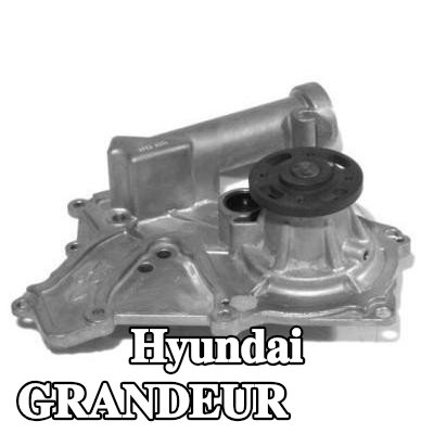 AISIN مضخة الماء — 2005 Hyundai Grandeur