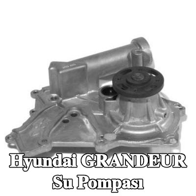 AISIN Su pompası — 2005 Hyundai Grandeur