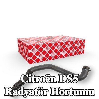 FEBI BILSTEIN Radyatör Hortumu Alt, kelepçeli — Citroën Ds5