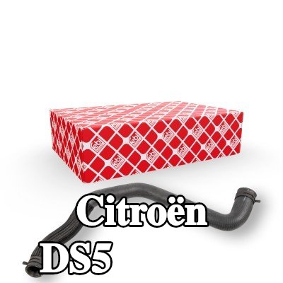FEBI BILSTEIN خرطوم المبرد السفلي, مع مشابك — Citroën Ds5
