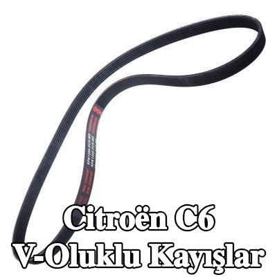 MASTER-SPORT V-Oluklu Kayışlar — Citroën C6