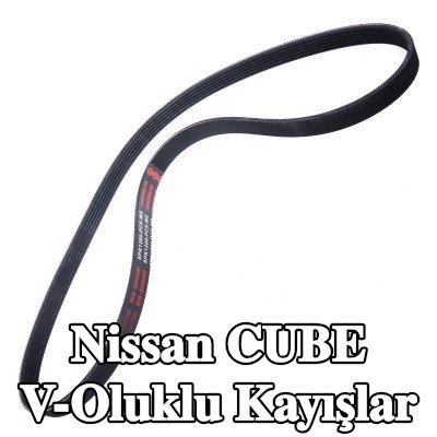 MASTER-SPORT V-Oluklu Kayışlar — Nissan Cube