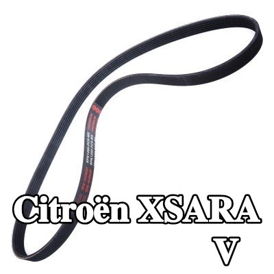 MASTER-SPORT أحزمة مضلعة على شكل V — Citroën Xsara