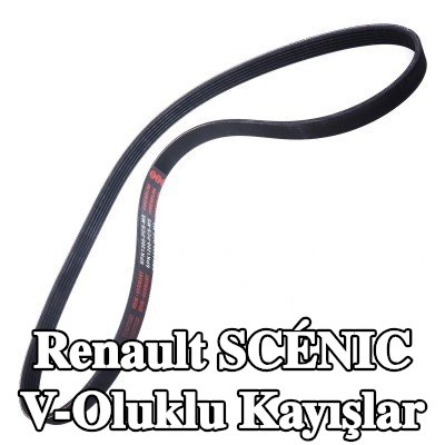 MASTER-SPORT V-Oluklu Kayışlar — Renault Scénic