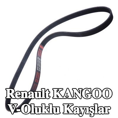 MASTER-SPORT V-Oluklu Kayışlar — Renault Kangoo