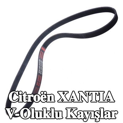 MASTER-SPORT V-Oluklu Kayışlar — Citroën Xantia