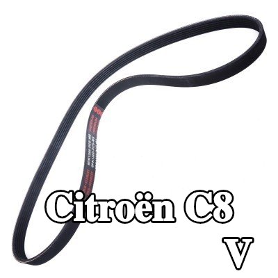 MASTER-SPORT أحزمة مضلعة على شكل V — Citroën C8