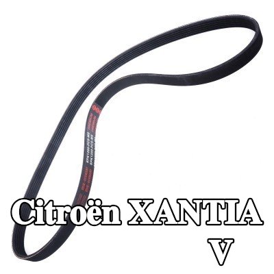 MASTER-SPORT أحزمة مضلعة على شكل V — Citroën Xantia
