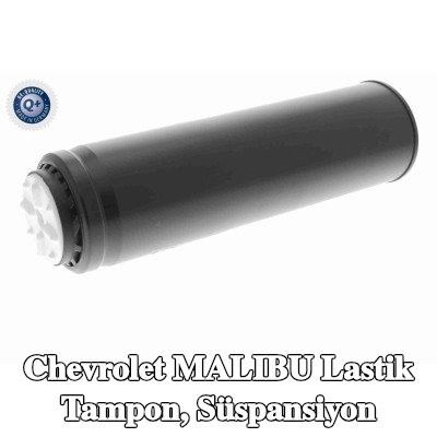 VAICO Lastik tampon, Q+ süspansiyon, orijinal ekipman üreticisi kalitesi MADE IN GERMANY, Arka Aks — Chevrolet Malibu
