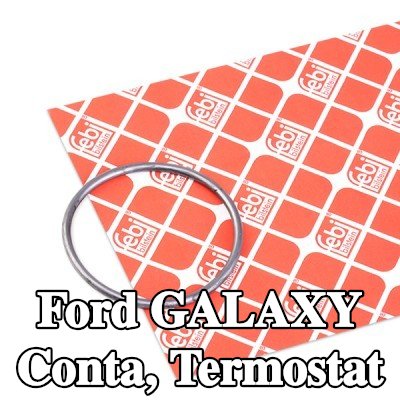 FEBI BILSTEIN Conta, termostat — 2002 Ford Galaxy