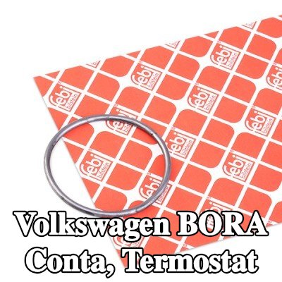 FEBI BILSTEIN Conta, termostat — 2000 Volkswagen Bora