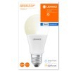 OSRAM LED ampul — Lexus Lbx (3)