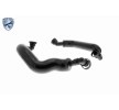 VAICO Onarım Seti, karter havalandırma EXPERT KITS + — 2002 BMW 7 Series (7)