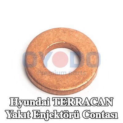 Oyodo Yakıt enjektörü contası — Hyundai Terracan