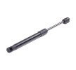 RIDEX دعامة الباب الخلفي الخلفية, كلا الجانبين, 279mm — Volkswagen Bora (1)