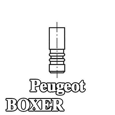 FRECCIA صمام السحب ساق الصمام المطلي بالكروم — Peugeot Boxer