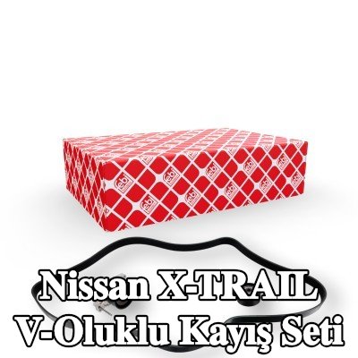 FEBI BILSTEIN V-Oluklu Kayış Seti — Nissan X-trail