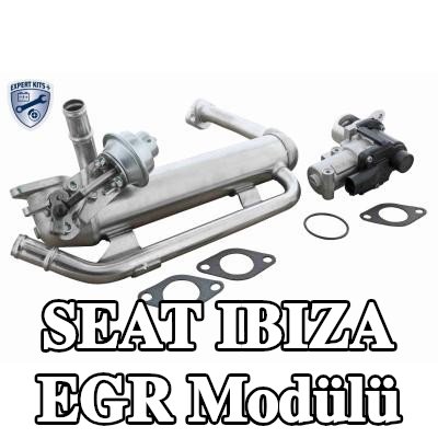 VEMO EGR soğutuculu EGR Modülü, conta/sızdırmazlık elemanları ile, EGR valfli — 2003 SEAT Ibiza